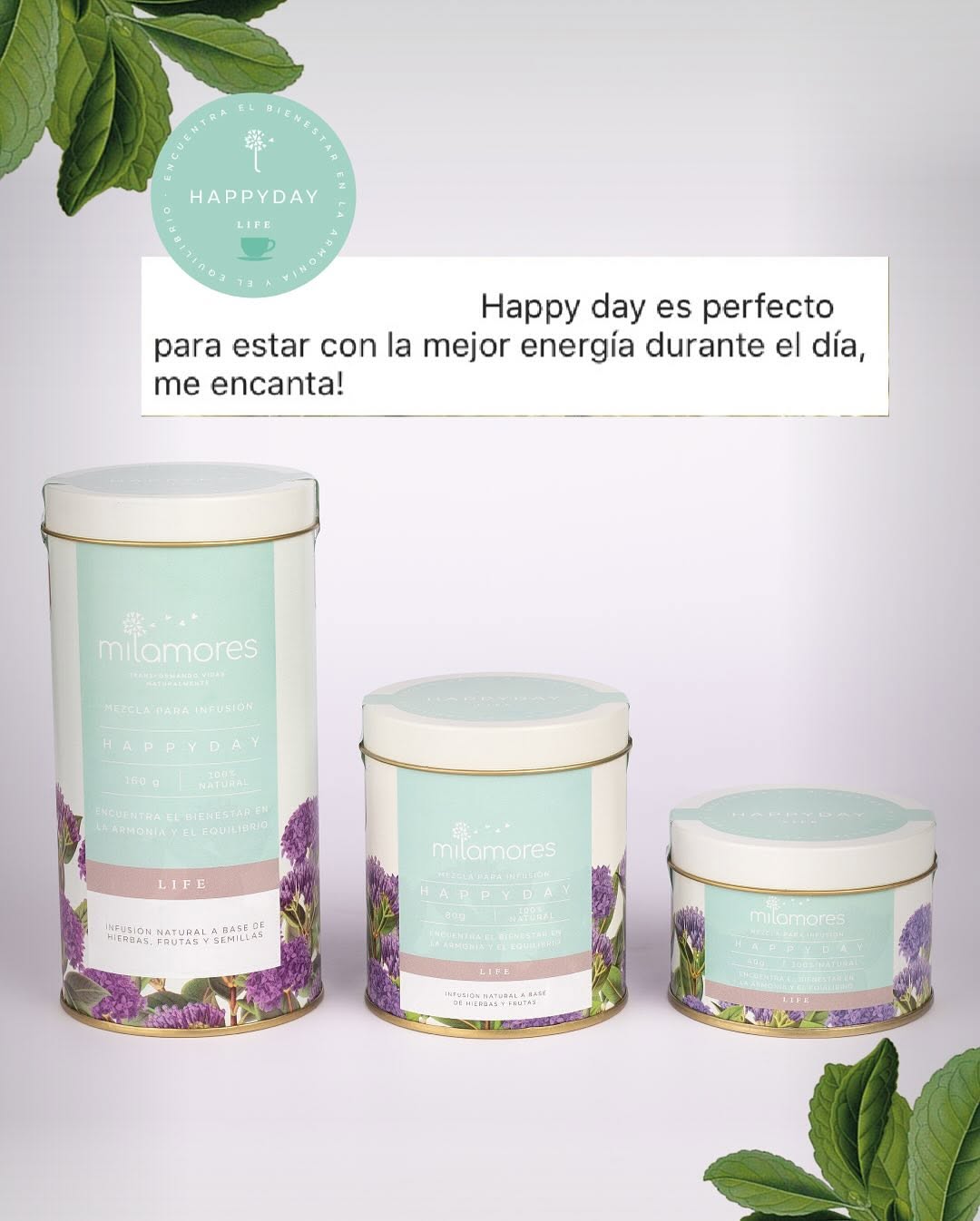 HappyDay 30g- Sistema nervioso/inmune/Bienestar general